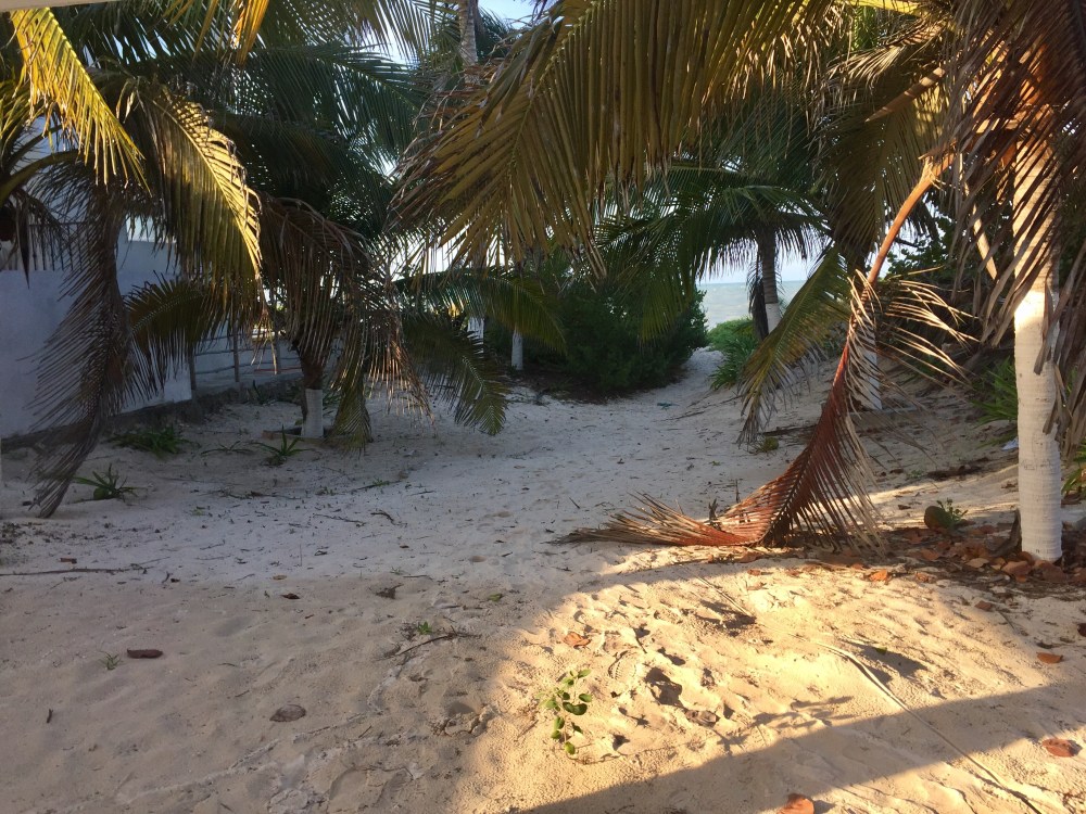 The palm trees and yard backing onto the sea are what I have pictured in my dreams.